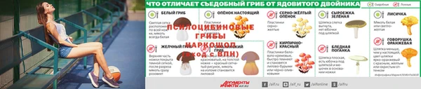 марки nbome Аркадак