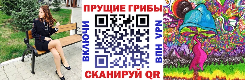 магазин    Инза  Псилоцибиновые грибы Psilocybe 
